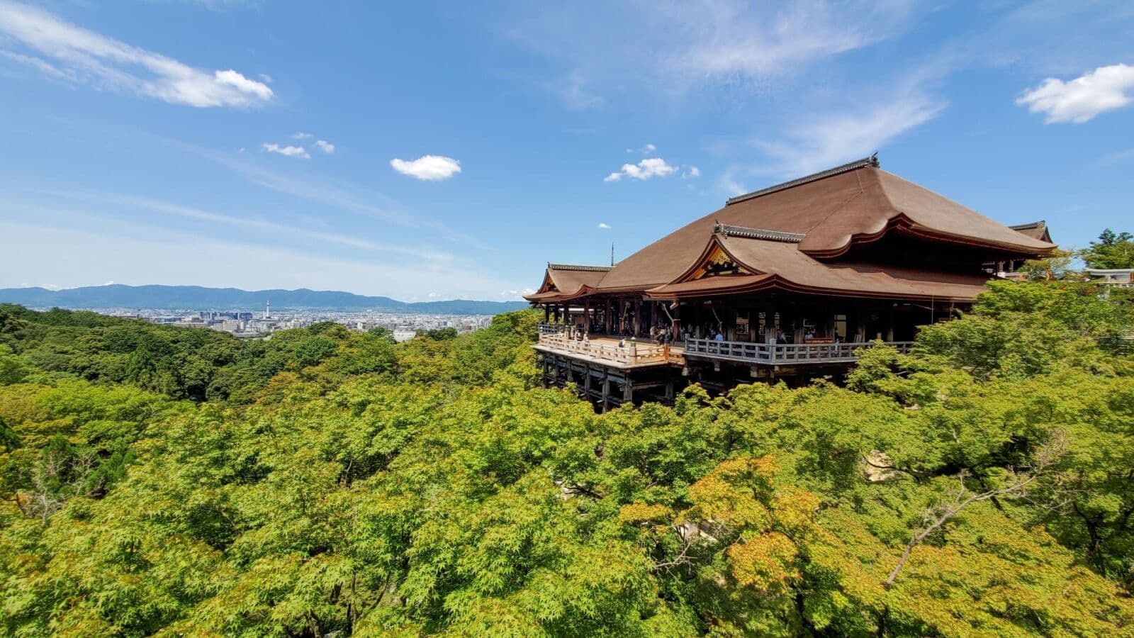 Expédition au Japon