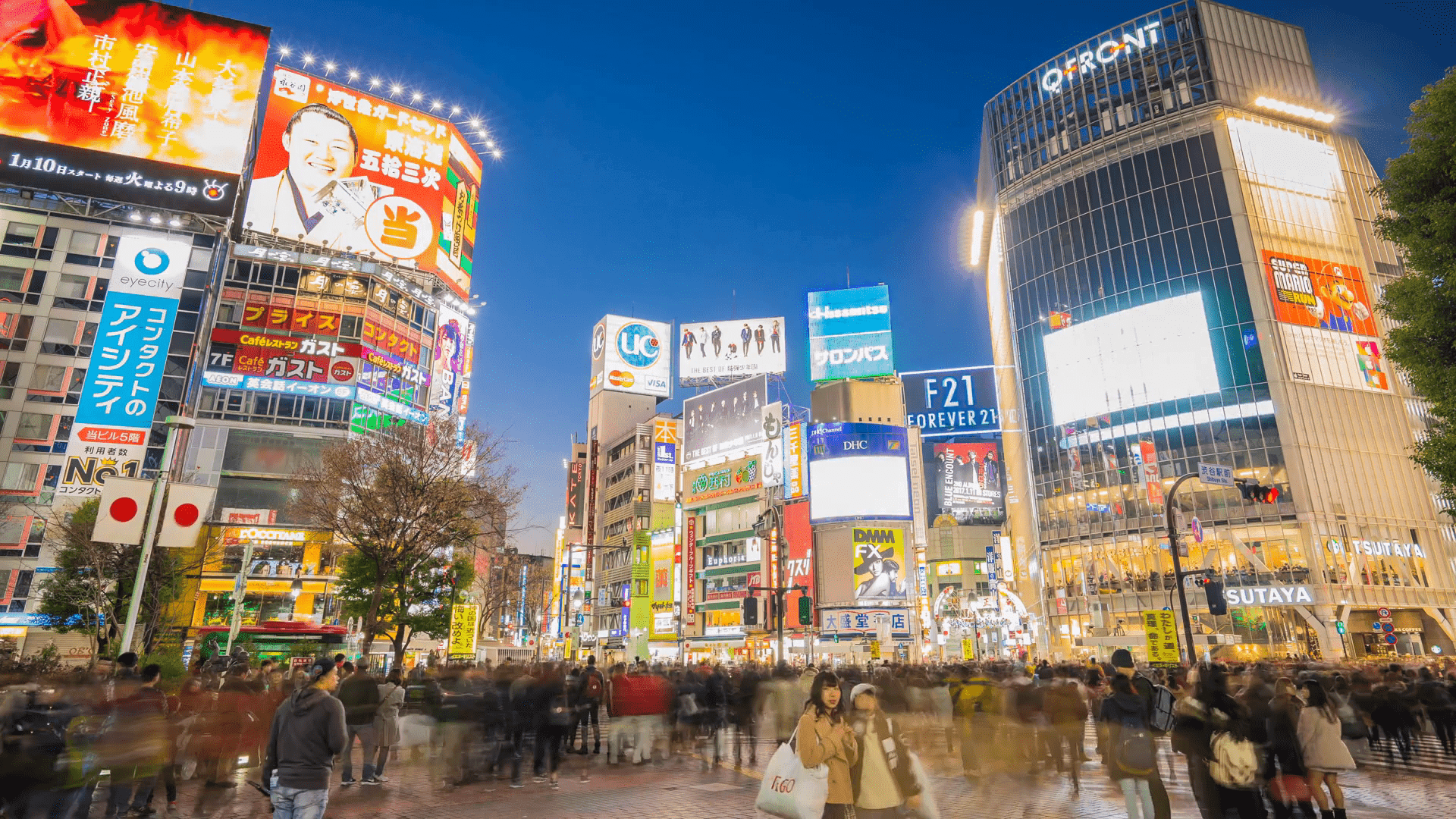 Floraison cerisier & Japon festif