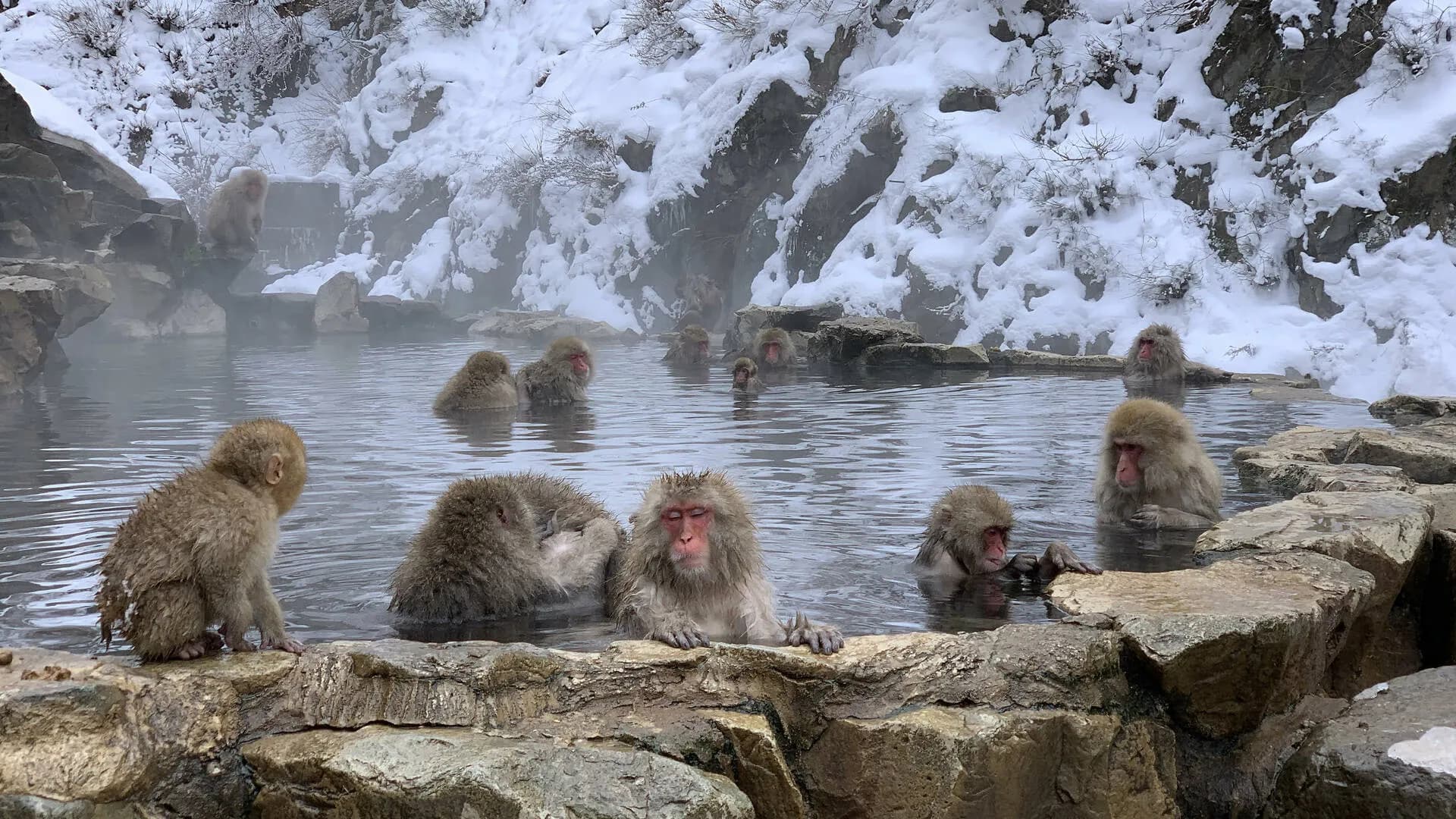 Japon sous la neige luxe
