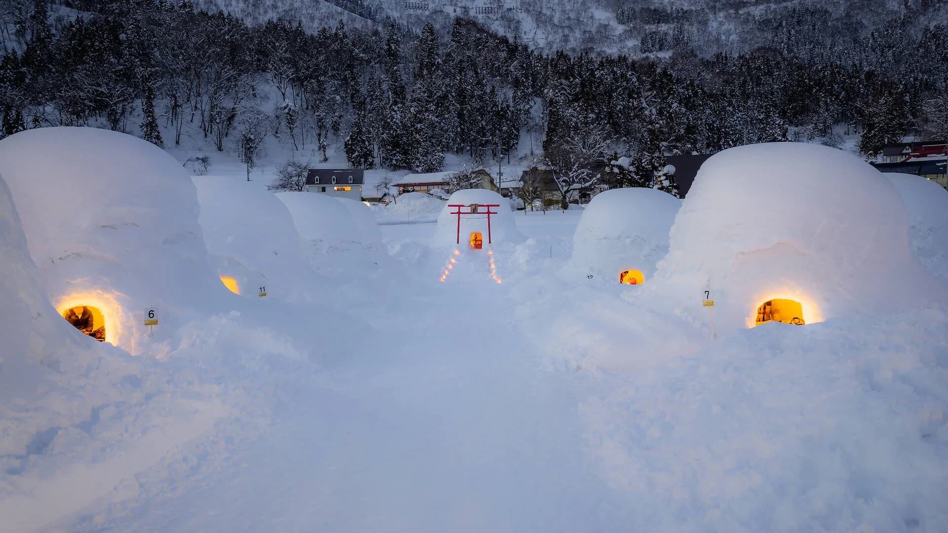 Japon sous la neige luxe