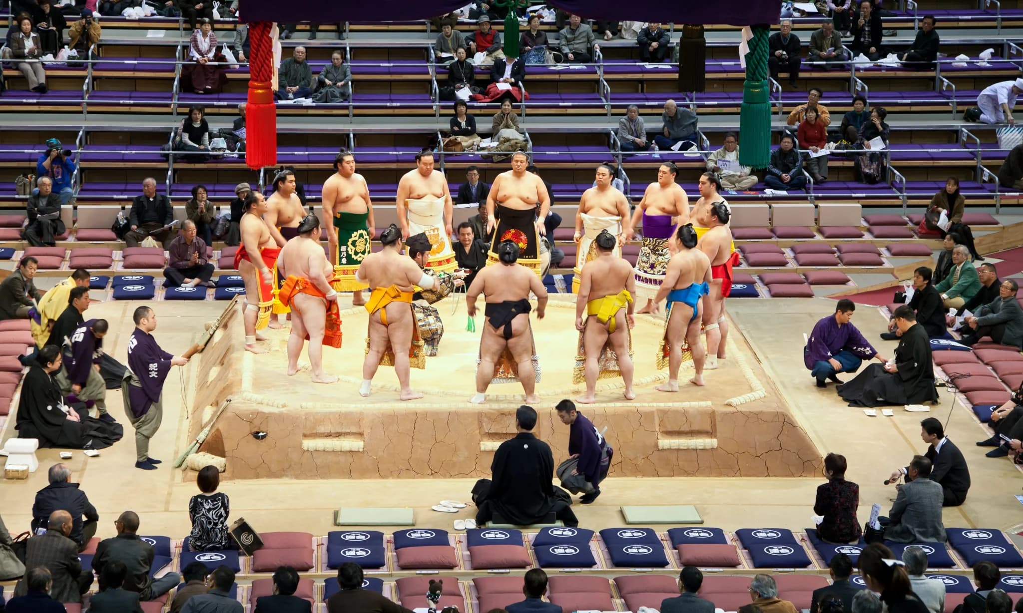 Immersion dans les Heya à la rencontre des sumotoris - Image 2